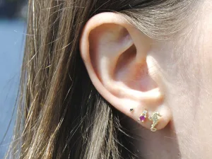 14K Gouden oorknoppen zeepaard en 14K Gouden oorknoppen met Robijn en Diamant 14K Gouden oorknoppen zeepaard en 14K Gouden oorknoppen met Robijn en Diamant