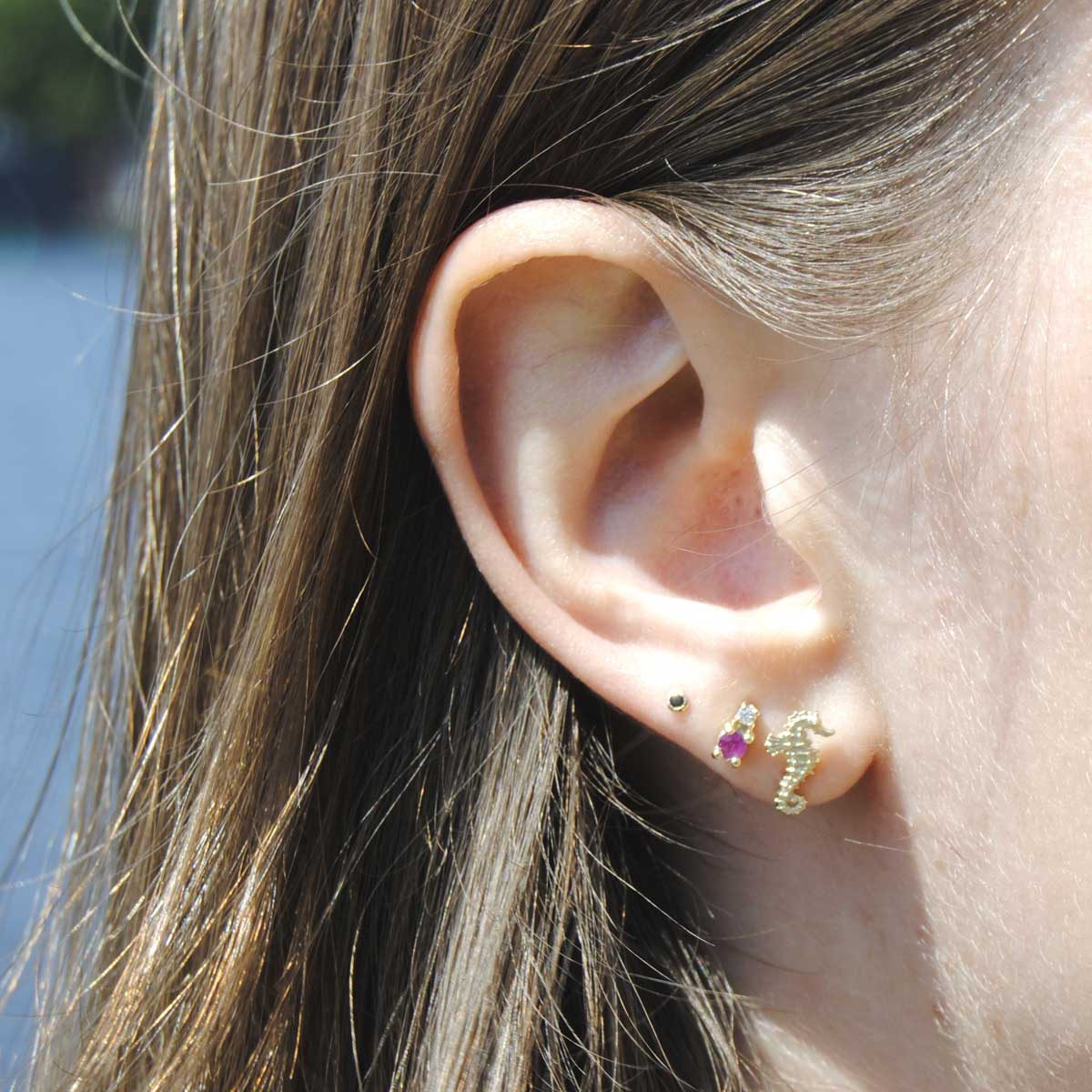 14K Gouden oorknoppen zeepaard en 14K Gouden oorknoppen met Robijn en Diamant